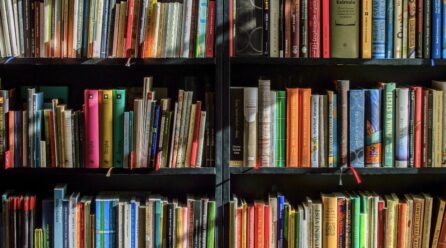 LIVRE: L’ÉDITION AFRICAINE PEINE À S’IMPOSER SUR LA SCÈNE MONDIALE