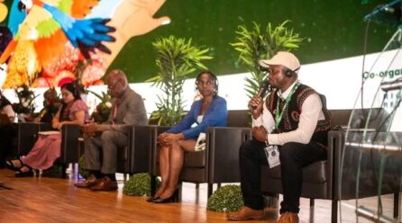 LES PEUPLES AUTOCHTONES UNISSENT LEURS VOIX POUR LA COP 30 À BELÉM