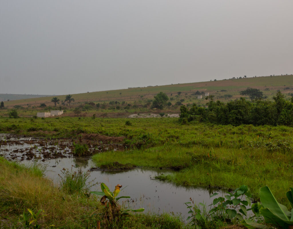 LA TOURBIÈRE DE NGAMAKALA, UNE URGENCE ENVIRONNEMENTALE