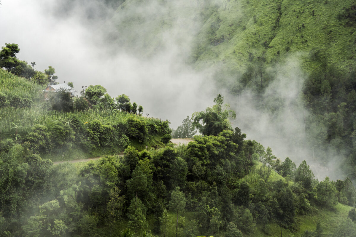 CLIMAT : LA RÉPUBLIQUE DU CONGO OBTIENT 1,3 MILLIARD FCFA POUR PROTÉGER SON ÉCOSYSTÈME