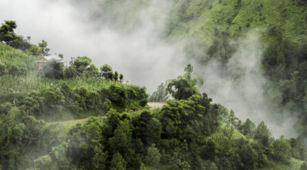 CLIMAT : LA RÉPUBLIQUE DU CONGO OBTIENT 1,3 MILLIARD FCFA POUR PROTÉGER SON ÉCOSYSTÈME