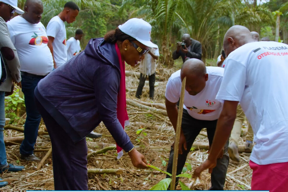 RETOUR DU CACAO À BOYA GRÂCE AU PROJET « UNE FAMILLE, UN CHAMP DE CACAO »