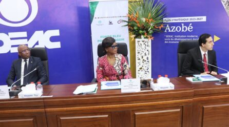 BRAZZAVILLE LANCE LA PRÉPARATION DE LA TABLE RONDE POUR MOBILISER 10 MILLIARDS DE DOLLARS