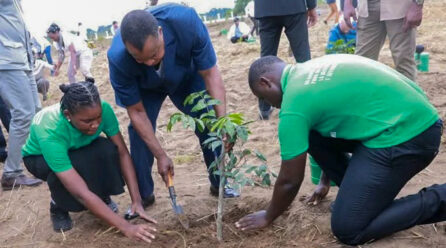 LE PRÉSIDENT SASSOU N’GUESSO LANCE PAR ANTICIPATION LA 39ÈME JOURNÉE NATIONALE DE L’ARBRE
