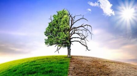 LA BANQUE MONDIALE ACCORDE 60 MILLIONS DE DOLLARS POUR LA RÉSILIENCE URBAINE AU CONGO