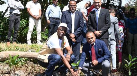 ENVIRONNEMENT : MAURICE PLANTE 1 500 MANGROVES POUR HONORER WANGARI MAATHAI