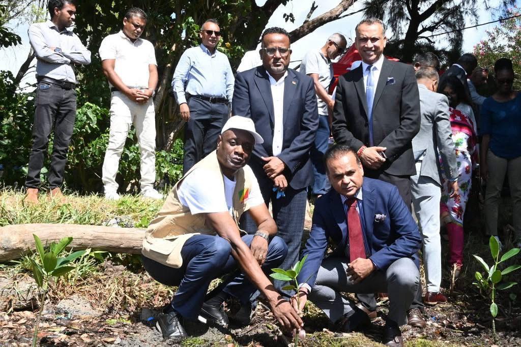 ENVIRONNEMENT : MAURICE PLANTE 1 500 MANGROVES POUR HONORER WANGARI MAATHAI