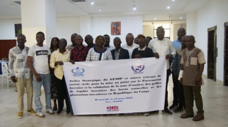GOUVERNANCE FORESTIÈRE : LA SOCIÉTÉ CIVILE CONGOLAISE AFFICHE SES PRIORITÉS POUR 2026