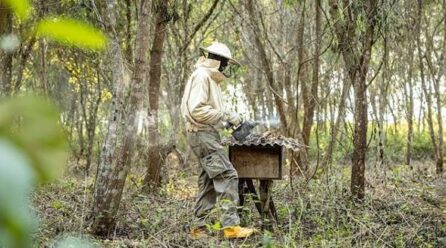 LA BANQUE MONDIALE LANCE UN PROGRAMME DE 394 MILLIONS DE DOLLARS POUR LE BASSIN DU CONGO