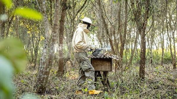 LA BANQUE MONDIALE LANCE UN PROGRAMME DE 394 MILLIONS DE DOLLARS POUR LE BASSIN DU CONGO