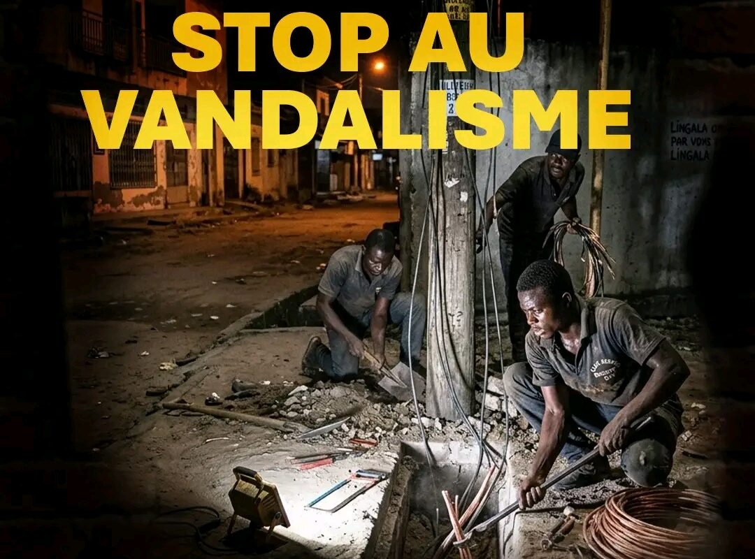 E2C CONDAMNE LE VOL DES CÂBLES ÉLECTRIQUES APRÈS UNE VIDÉO VIRALE