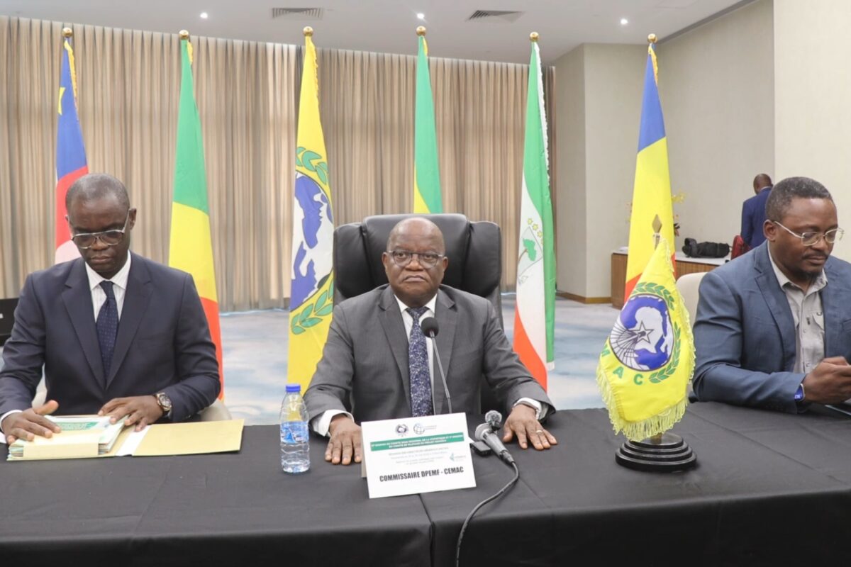 CEMAC : LES EXPERTS DE LA STATISTIQUE APPELLENT À RENFORCER LA SÉCURISATION DES DONNÉES