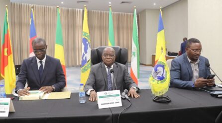 CEMAC : LES EXPERTS DE LA STATISTIQUE APPELLENT À RENFORCER LA SÉCURISATION DES DONNÉES