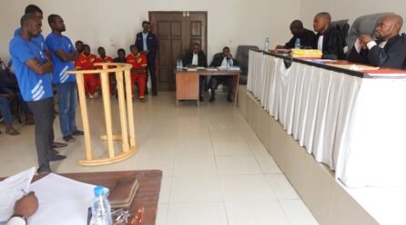 BRACONNAGE : 3 TRAFIQUANTS D’IVOIRE LOURDEMENT CONDAMNÉS À DJAMBALA